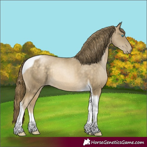 Horse Color:Buckskin Pearl Tobiano Rabicano