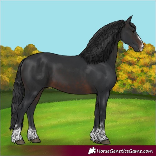 Horse Color:Brown 