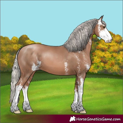 Horse Color:Silver Black Pearl Sabino