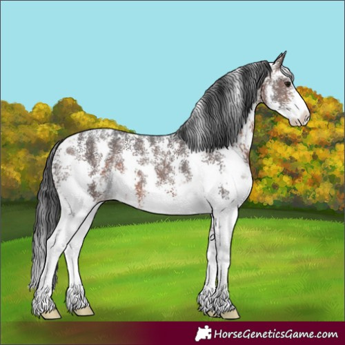 Horse Color:Brown Sabino