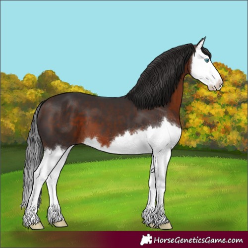 Horse Color:Brown Splash