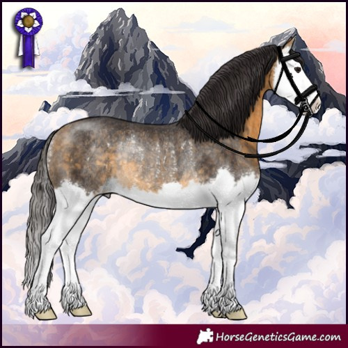 Horse Color:Buckskin Splash Rabicano