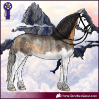 Horse Color:Buckskin Splash Rabicano 