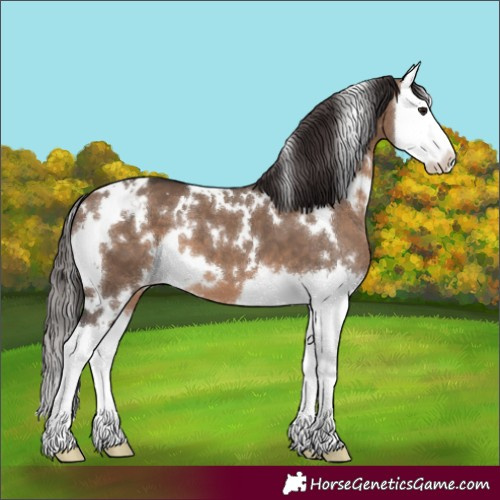 Horse Color:White Spotted Brown Dun Splash Varnish 