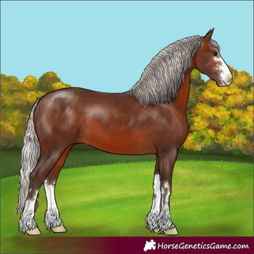 Horse Color:Silver Brown 