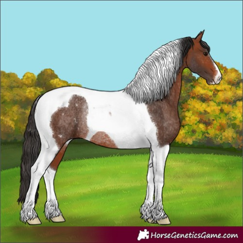 Horse Color:Bay Tobiano Rabicano