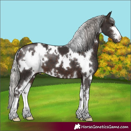 Horse Color:White Spotted Silver Brown