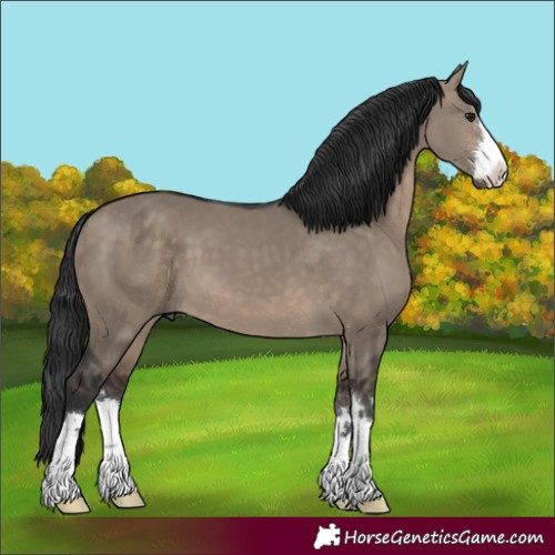 Horse Color:Brown Dun