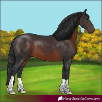 Horse Color:Brown 