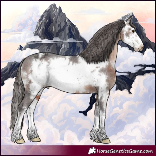Horse Color:Brown Sabino Frame Varnish