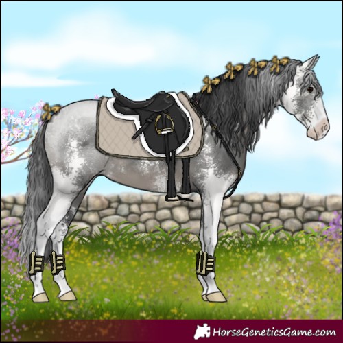 Horse Color:Black Sabino 