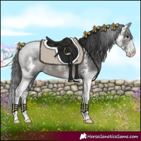 Horse Color:Black Sabino