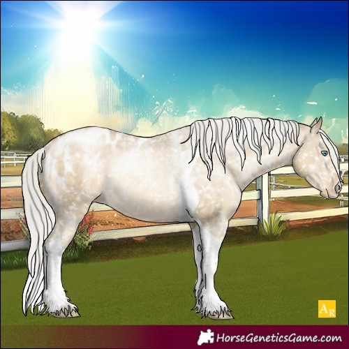 Horse Color:Powder White Silver Buckskin Pearl Dun Tobiano Appaloosa Rabicano 