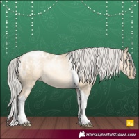 Horse Color:Powder White Silver Buckskin Pearl Dun Tobiano Appaloosa Rabicano 