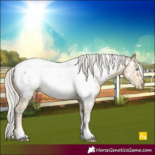 Horse Color:Powder White Silver Buckskin Pearl Dun Tobiano Near Fewspot Rabicano 