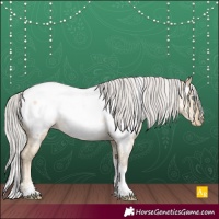 Horse Color:Powder White Silver Buckskin Pearl Dun Tobiano Appaloosa Rabicano