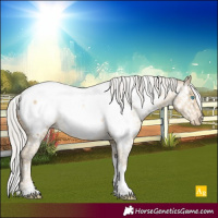 Horse Color:Powder White Silver Buckskin Pearl Dun Tobiano Appaloosa Rabicano 