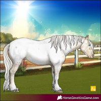 Horse Color:Powder White Silver Buckskin Pearl Dun Tobiano Near Fewspot Rabicano 
