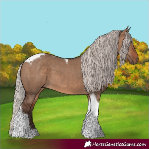 Horse Color:Silver Brown Dun Tobiano 