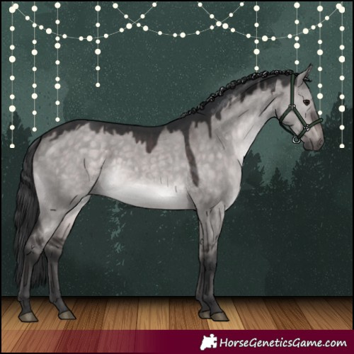 Horse Color:Platinum Brown Dun 