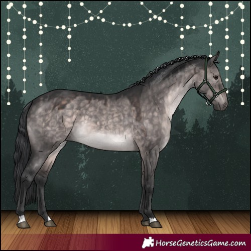 Horse Color:Platinum Brown Dun 