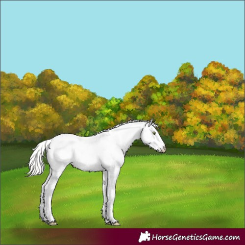 Horse Color:Silver Classic Cream Champagne Splash Tobiano Frame Fewspot