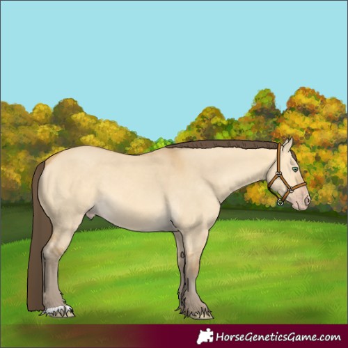 Horse Color:Sable Cream Champagne Dun 
