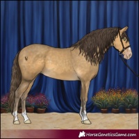 Horse Color:Sable Cream Champagne 
