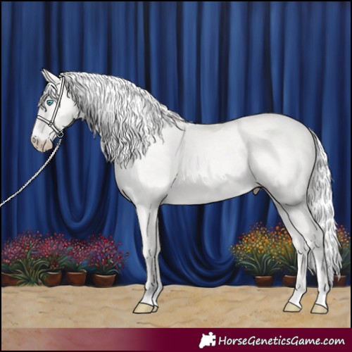 Horse Color:Silver Perlino 