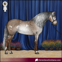Horse Color:Gray White Spotted Liver Red Dun Rabicano 