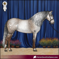 Horse Color:Gray White Spotted Liver Red Dun Rabicano 