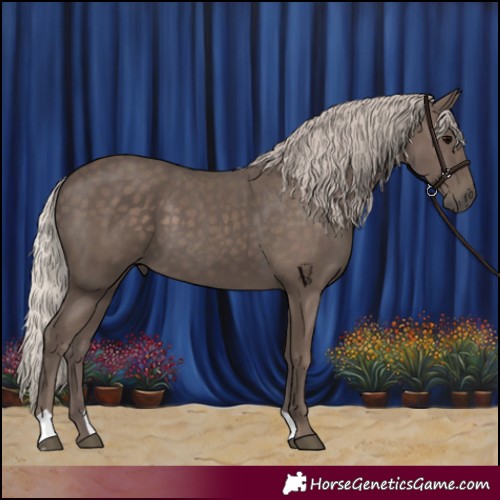 Horse Color:Silver Black 