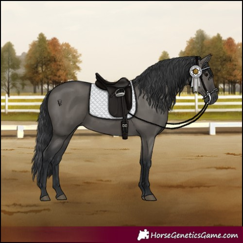 Horse Color:Grullo Rabicano 
