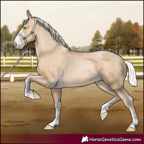 Horse Color:Silver Buckskin Pearl 