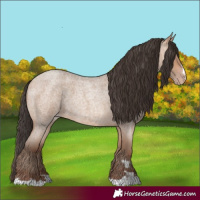 Horse Color:Amber Champagne Roan
