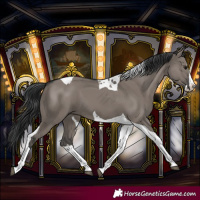 Horse Color:Grullo Splash Tobiano