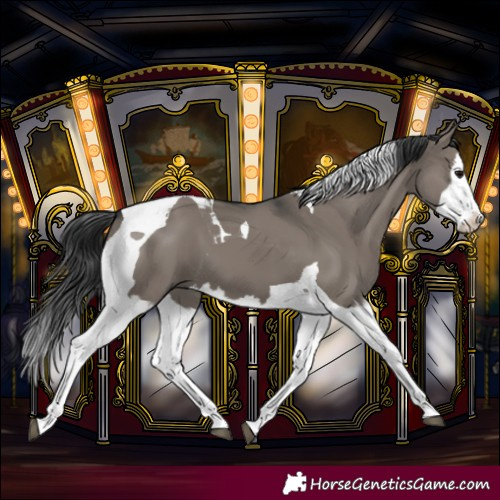 Horse Color:Grullo Splash Tobiano