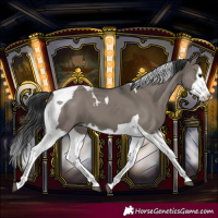 Horse Color:Grullo Splash Tobiano