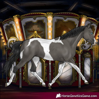 Horse Color:Grullo Splash Tobiano 