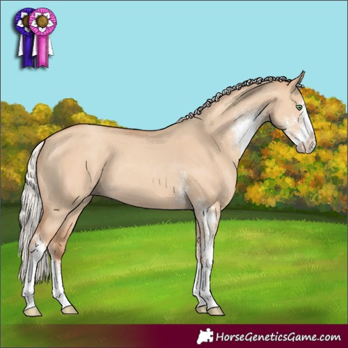 Horse Color:Silver Classic Champagne Dun Sabino 