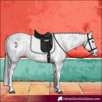 Horse Color:Brown Dun Sabino 