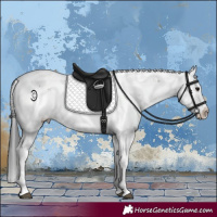 Horse Color:Brown Dun Sabino 