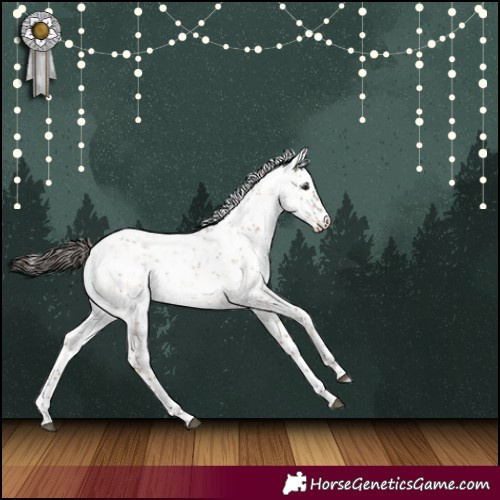 Horse Color:Liver Red Dun Sabino 