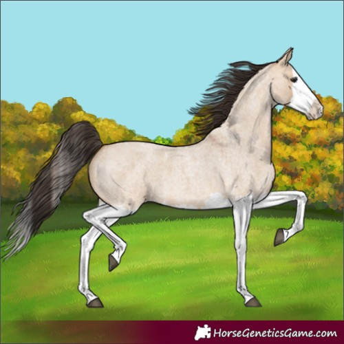 Horse Color:Bay Roan Dun Splash 