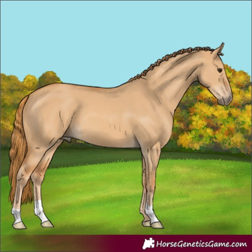 Horse Color:Red Dun 