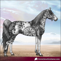 Horse Color:White Spotted Black Frame