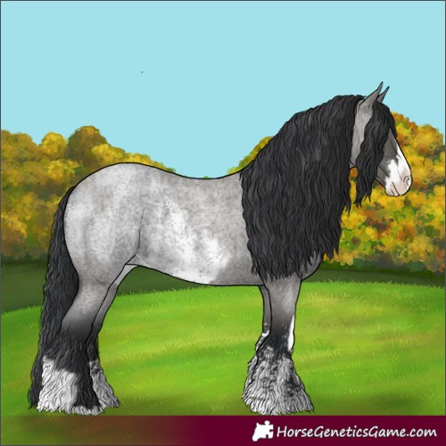 Horse Color:Blue Roan Sabino Splash  and Grullo Roan Sabino Splash 