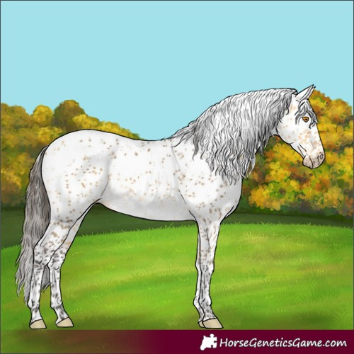 Horse Color:Buckskin Dun Sabino Brindle 