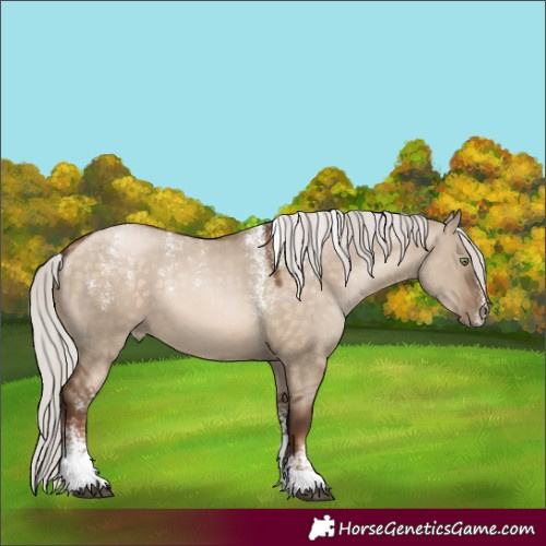 Horse Color:Powder White Silver Brown Pearl Dun 