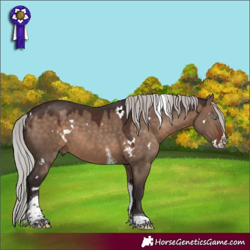 Horse Color:White Spotted Silver Brown Dun Splash Tobiano Rabicano 